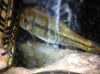 IMG_0007_u.GIF