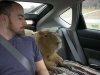 capybara_22.jpg