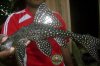 PSEUDOACANTHICUS JURUA (30 CM) 4 - 20 JUN 2011.jpg