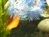 DSCN1821.JPG DSCN1821.JPG