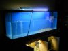 DSCN9069.JPG
