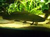 IMG00005-20110802-1703.jpg