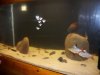 FTS-1.jpg