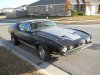 Mustang2.jpg