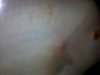 170820111148.jpg 170820111148.jpg