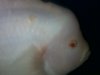170820111149.jpg 170820111149.jpg