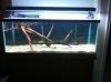 Full Tank Shot.JPG