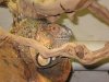 Picture or Video 063.jpg