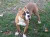 Picture or Video 054.jpg
