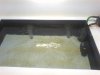 pond2.jpg