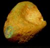opal bone2.jpg