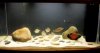 FTS Aug28 2011.JPG