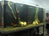 DSC06859.JPG