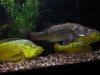 IMG_7595.JPG