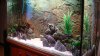 DSC01567.JPG