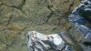 DSC01756.JPG