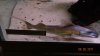 DSC01783.JPG