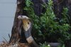 DSC_1106.jpg