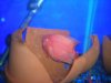 DSCN1587.JPG