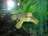 turtle.jpg