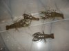 DSC00070.JPG