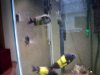 DSC00516.JPG