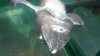 2011-09-19_10-06-09_483.jpg