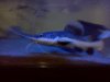 IMG20110826_010.jpg