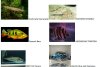 Picture1.jpg Picture1.jpg