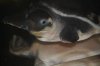 DSC_1173.JPG