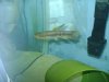 DSC02139.JPG