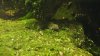 DSC01524.jpg