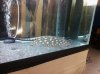 oct212011 052.JPG