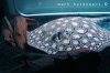 rayssept282011 013.JPG