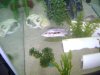 DSC02604.JPG
