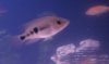 380019_2226371216531_1165306342_1967485_333657900_n.jpg 380019_2226371216531_1165306342_1967485_333657900_n.jpg