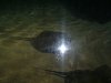DSCF0079.JPG