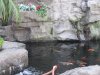 IMG_8532.JPG