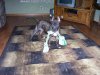 100_0451.JPG