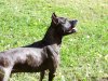 100_0143.jpg