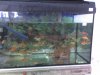 15-01-07_1631.jpg
