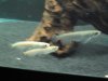IMG_3696.JPG