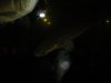 DSC00534.JPG