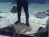 WP_000743.jpg