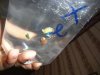 DSC00403.JPG