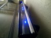 leds2.jpg