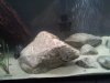 HTC HD7_000625.jpg