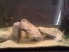 HTC HD7_000621.jpg