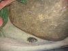 HTC HD7_000479.jpg