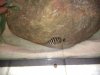 HTC HD7_000469.jpg